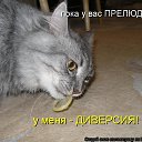 ���� ������, �������� - ��������� 19 ���� 2014 � ������ ������ ��������