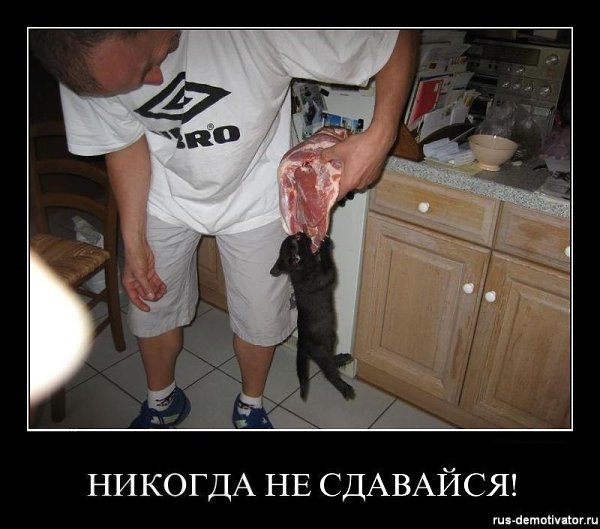 �������������� �� ���: fotostrana.ru/public/232203 ;-)