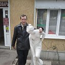 ���� �������, ������� ����, 43 ���� - ��������� 26 ����� 2014 � ������ ���� ����������