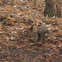 ���� ������� �, ��������, 59 ��� - ��������� 11 ������ 2014 � ������ ���� ����������