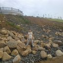  Al., , 51  -  27  2014    