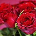 ���� ���������, ���������, 56 ��� - ��������� 3 ������ 2014 � ������ ���� ����������