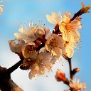 ���� �����, �����, 64 ���� - ��������� 24 ������ 2014 � ������ ������ � �����!�