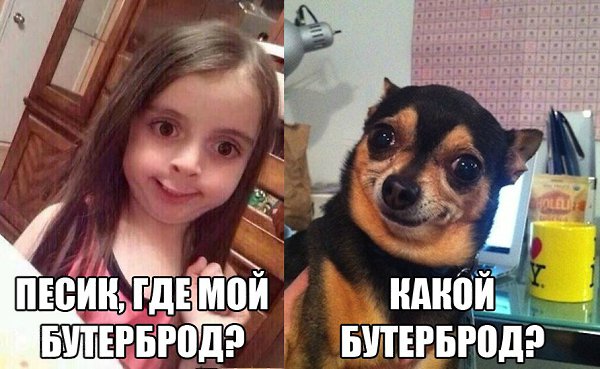     ! =))) fotostrana.ru/public/233738