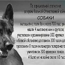 ���� ���������, ������ ��������, 58 ��� - ��������� 7 ��� 2014 � ������ ������ ��������