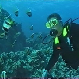 �������, ������