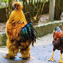 ���� �����, ������������ - ��������� 30 ��� 2014 � ������ ������ ��������