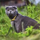 ���� �����, �����-��������� - ��������� 21 ���� 2014 � ������ ���� ������� ����