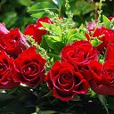 ���� �����, ������, 62 ���� - ��������� 30 ����� 2014 � ������ ������ ��������