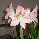 ���� �����, �������, 48 ��� - ��������� 9 ������ 2014 � ������ ���� ����������