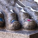  Dark    , -, 43  -  7  2014   13.07.14