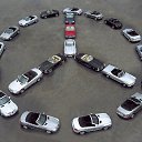 ���� ������, ������������, 36 ��� - ��������� 29 ��� 2014 � ������ ������ �������� ���λ