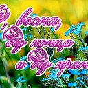 ���� �����, ������������, 73 ���� - ��������� 17 ����� 2014 � ������ ������ ��������