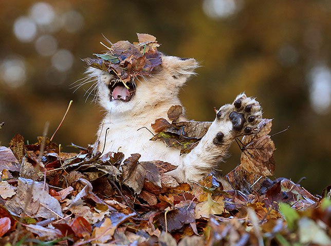     .   https://fotostrana.ru/away?to=/sl/PMV - 9