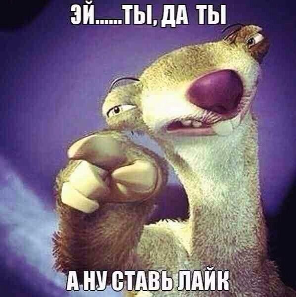    :D - 5  2014  16:11
