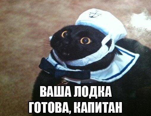  - 10  2014  13:30