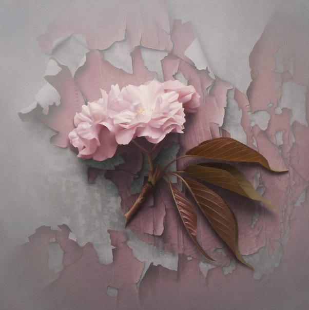  Floral       Patrick Kramer