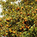 ���� 2014 �� ������� �� ��� - ��������!!!)))�