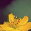 ���� Natalie, ������-������ - ��������� 14 ���� 2014 � ������ ���� ����������