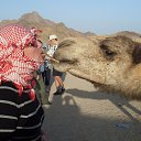   111, , 49  -  15  2014    