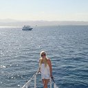 ���� �������, ������, 41 ��� - ��������� 1 ������ 2014 � ������ ���� ����������