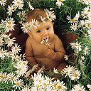 ���� �������, ������ - ��������� 22 ����� 2014 � ������ ������ ��������