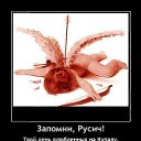 ���� ������, ��������������, 52 ���� - ��������� 9 ���� 2014 � ������ ��������������