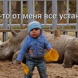 ���� ��������, ������, 40 ��� - ��������� 2 ������� 2014