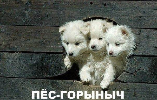   :D - 5  2014  12:32 - 5
