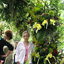 ���� ������, �����-��������� - ��������� 22 ������� 2014 � ������ ���� ����������