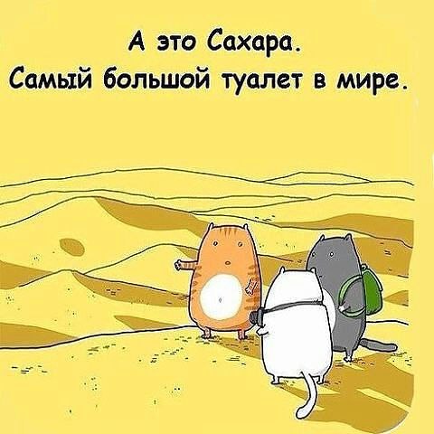  - 26  2014  15:46