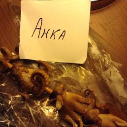 �������, �������, 26 ���