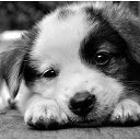 ���� ������, �������, 64 ���� - ��������� 24 �������� 2014