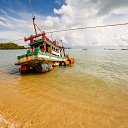 Samui    - 2014 (+)