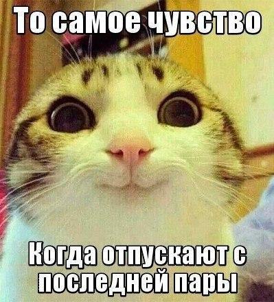    :D - 18  2014  00:15