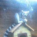 ���� Valentin, �������, 46 ��� - ��������� 28 ������� 2014 � ������ �1�