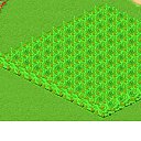 ���� Liuba, �������, 63 ���� - ��������� 15 ������ 2014 � ������ ������� �������