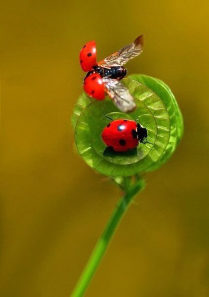 ,     ,     .    .  ... - 6