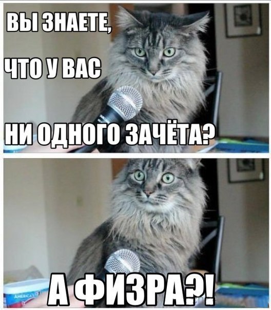    :D - 9  2014  21:47
