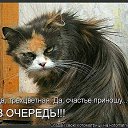 ���� �����, ����, 55 ��� - ��������� 2 ������� 2014 � ������ ���� ����������