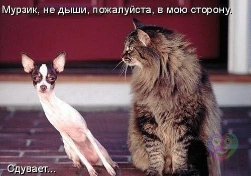 Art & Fun - 1  2014  14:46