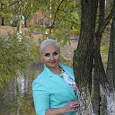 ���� ��������, �����-��������� - ��������� 28 ������� 2014 � ������ ���� ����������