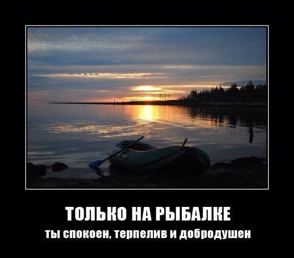 ����� ������� - 10 ������ 2014 � 22:52