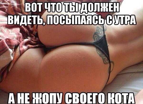 MDK - 21 ������ 2014 � 11:24