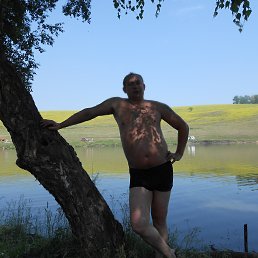 �������, ����������, 46 ���