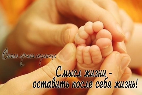 Счастливая семья - 4 ноября 2014 в 09:31