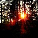 ���� ���������, �����, 47 ��� - ��������� 18 �������� 2014