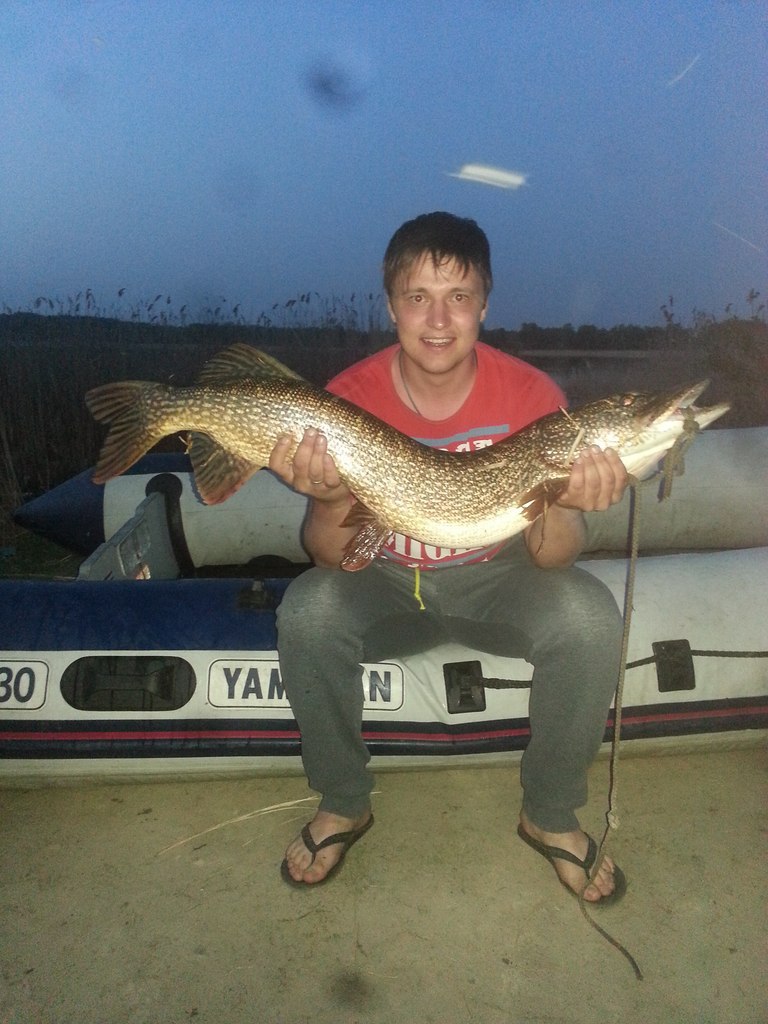 ����� ������� - 22 ������ 2014 � 22:28 - 3