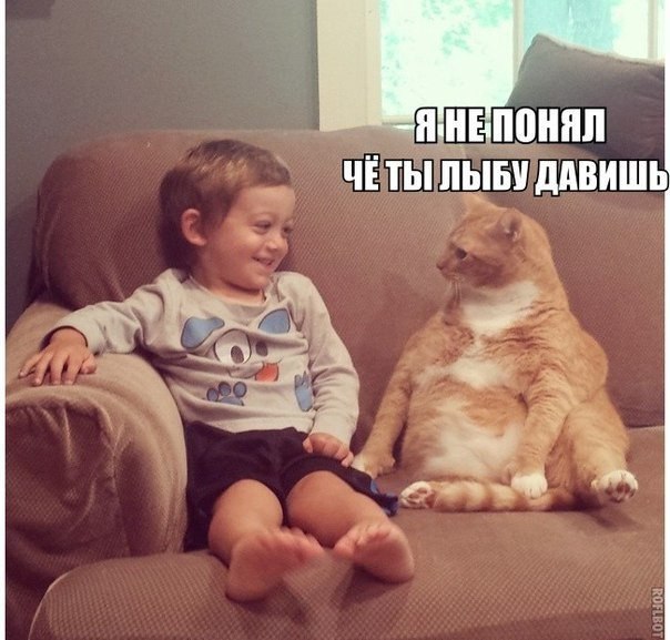 ������� - 5 ������� 2014 � 13:47 - 3