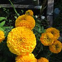 ���� �����, �����������, 66 ��� - ��������� 22 �������� 2014 � ������ �������